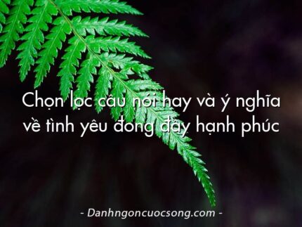 Chọn lọc câu nói hay và ý nghĩa về tình yêu đong đầy hạnh phúc