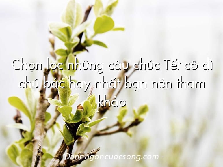 Chọn lọc những câu chúc Tết cô dì chú bác hay nhất bạn nên tham khảo