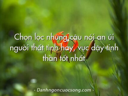 Chọn lọc những câu nói an ủi người thất tình hay, vực dậy tinh thần tốt nhất