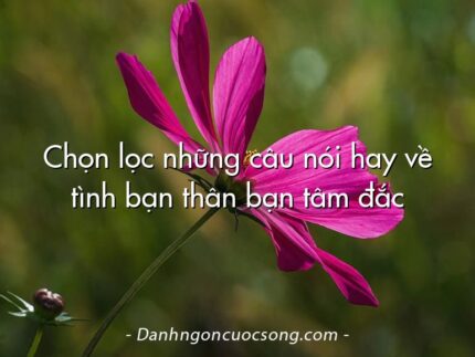 Chọn lọc những câu nói hay về tình bạn thân bạn tâm đắc