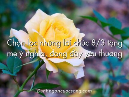 Chọn lọc những lời chúc 8/3 tặng mẹ ý nghĩa, đong đầy yêu thương