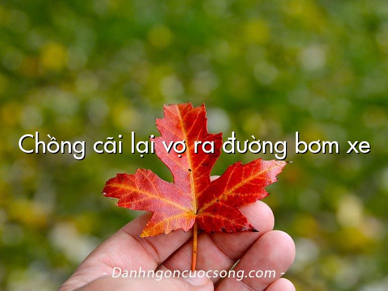 Chồng cãi lại vợ ra đường bơm xe