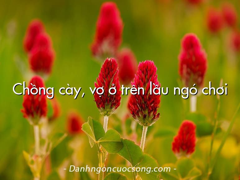 Chồng cày, vợ ở trên lầu ngó chơi