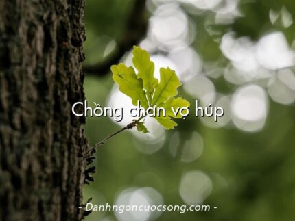 Chồng chan vợ húp