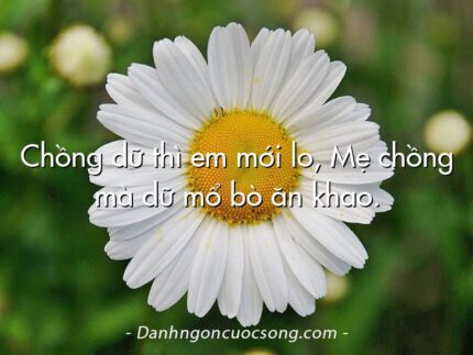 Chồng dữ thì em mới lo, Mẹ chồng mà dữ mổ bò ăn khao.