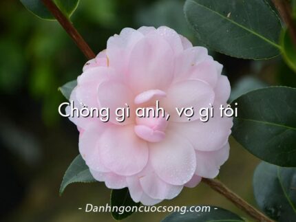 Chồng gì anh, vợ gì tôi
