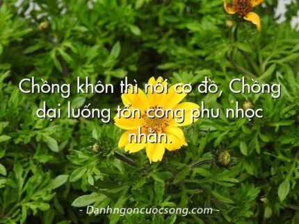 Chồng khôn thì nổi cơ đồ, Chồng dại luống tổn công phu nhọc nhằn.