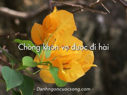 Chồng khôn vợ được đi hài