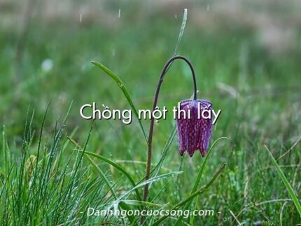 Chồng một thì lấy