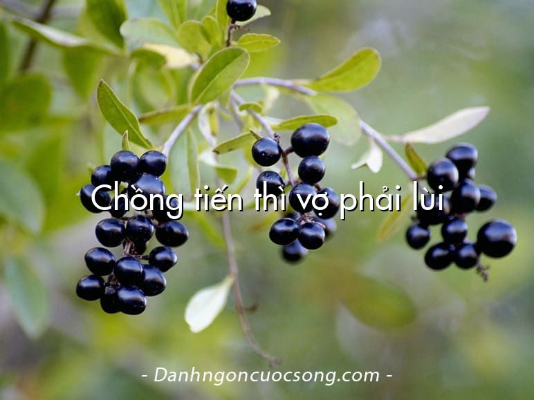 Chồng tiến thì vợ phải lùi