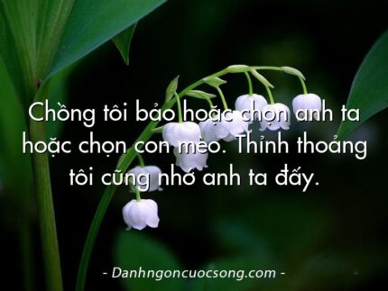 Chồng tôi bảo hoặc chọn anh ta hoặc chọn con mèo. Thỉnh thoảng tôi cũng nhớ anh ta đấy.