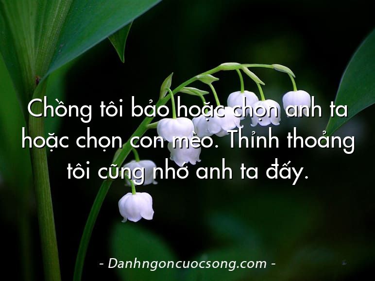 Chồng tôi bảo hoặc chọn anh ta hoặc chọn con mèo. Thỉnh thoảng tôi cũng nhớ anh ta đấy.