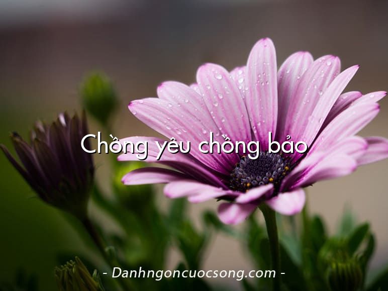 Chồng yêu chồng bảo