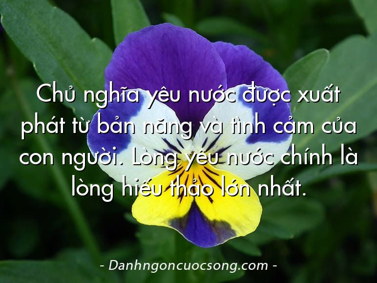 Chủ nghĩa yêu nước được xuất phát từ bản năng và tình cảm của con người. Lòng yêu nước chính là lòng hiếu thảo lớn nhất.