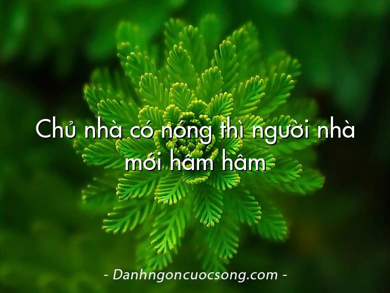 Chủ nhà có nóng thì người nhà mới hâm hâm