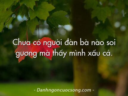 Chưa có người đàn bà nào soi gương mà thấy mình xấu cả.