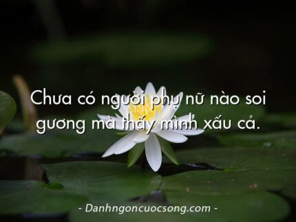 Chưa có người phụ nữ nào soi gương mà thấy mình xấu cả.