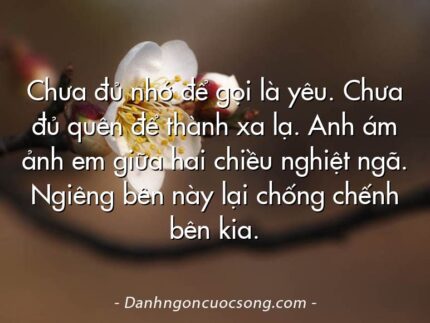 Chưa đủ nhớ để gọi là yêu. Chưa đủ quên để thành xa lạ. Anh ám ảnh em giữa hai chiều nghiệt ngã. Ngiêng bên này lại chống chếnh bên kia.