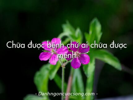 Chữa được bệnh chứ ai chữa được mệnh