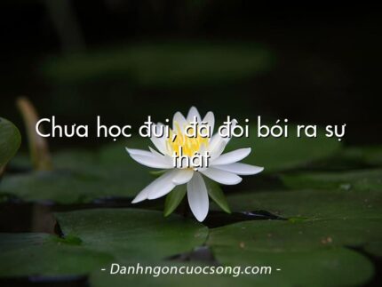 Chưa học đui, đã đòi bói ra sự thật