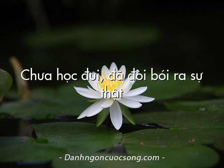 Chưa học đui, đã đòi bói ra sự thật