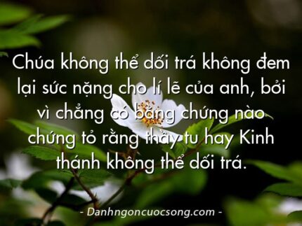 Chúa không thể dối trá không đem lại sức nặng cho lí lẽ của anh, bởi vì chẳng có bằng chứng nào chứng tỏ rằng thầy tu hay Kinh thánh không thể dối trá.