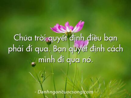 Chúa trời quyết định điều bạn phải đi qua. Bạn quyết định cách mình đi qua nó.