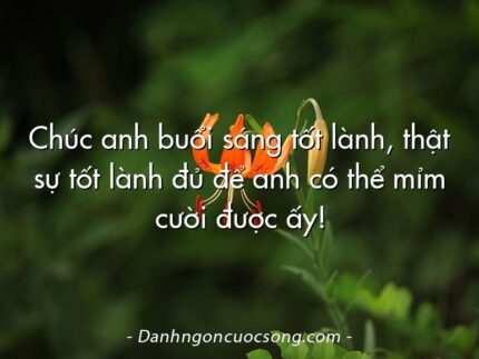 Chúc anh buổi sáng tốt lành, thật sự tốt lành đủ để anh có thể mỉm cười được ấy!