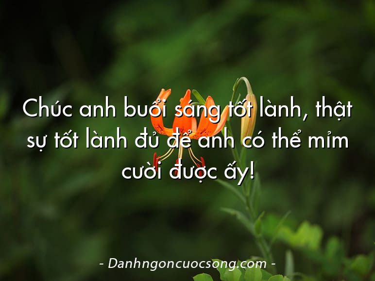 Chúc anh buổi sáng tốt lành, thật sự tốt lành đủ để anh có thể mỉm cười được ấy!