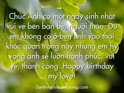 Chúc Anh có một ngày sinh nhật vui vẻ bên bạn bè, người thân. Dù em không có ở bên anh vào thời khắc quan trọng này nhưng em hy vọng anh sẽ luôn hạnh phúc, vui vẻ, thành công. Happy birthday my love!