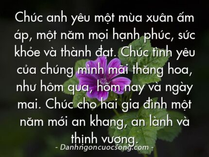 Chúc anh yêu một mùa xuân ấm áp, một năm mọi hạnh phúc, sức khỏe và thành đạt. Chúc tình yêu của chúng mình mãi thăng hoa, như hôm qua, hôm nay và ngày mai. Chúc cho hai gia đình một năm mới an khang, an lành và thịnh vượng.