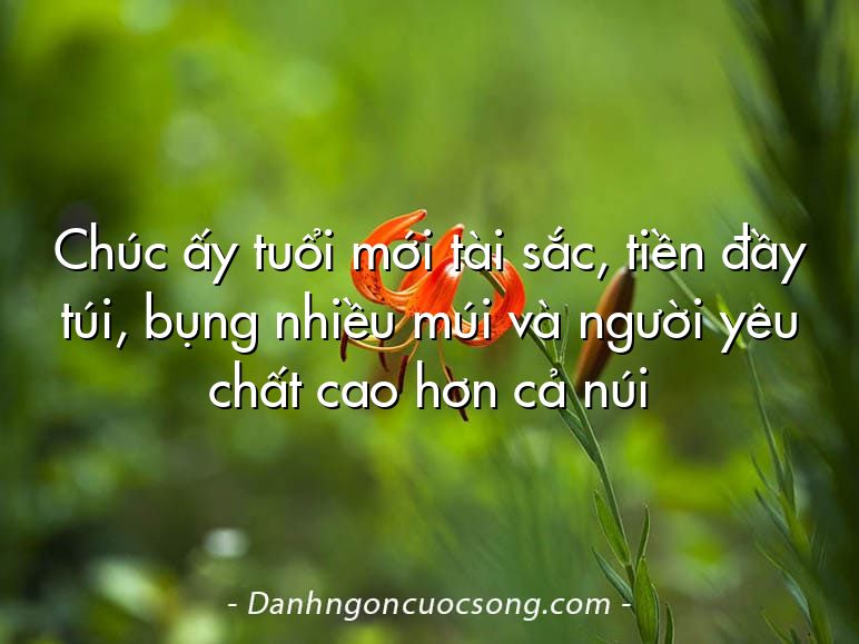 Chúc ấy tuổi mới tài sắc, tiền đầy túi, bụng nhiều múi và người yêu chất cao hơn cả núi