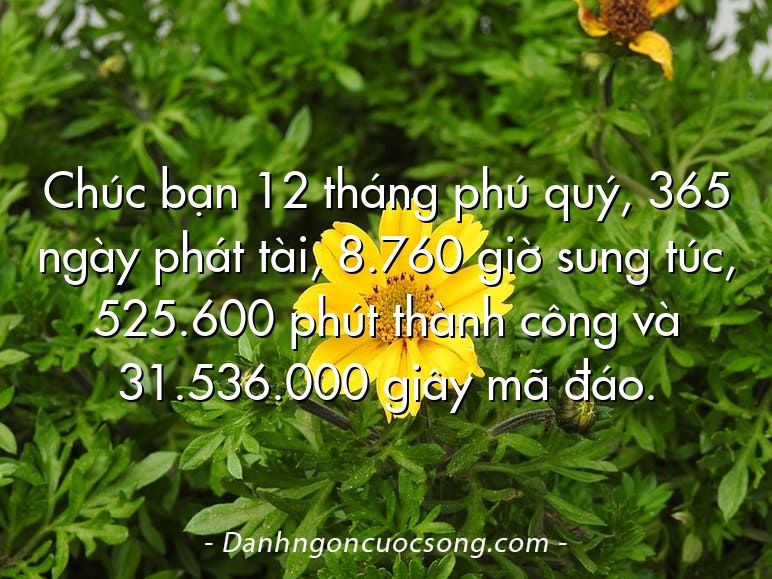 Chúc bạn 12 tháng phú quý, 365 ngày phát tài, 8.760 giờ sung túc, 525.600 phút thành công và 31.536.000 giây mã đáo.