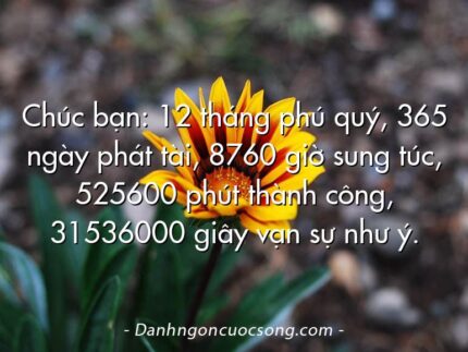 Chúc bạn: 12 tháng phú quý, 365 ngày phát tài, 8760 giờ sung túc, 525600 phút thành công, 31536000 giây vạn sự như ý.