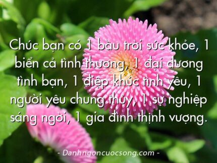 Chúc bạn có 1 bầu trời sức khỏe, 1 biển cả tình thương, 1 đại dương tình bạn, 1 điệp khúc tình yêu, 1 người yêu chung thủy, 1 sự nghiệp sáng ngời, 1 gia đình thịnh vượng.
