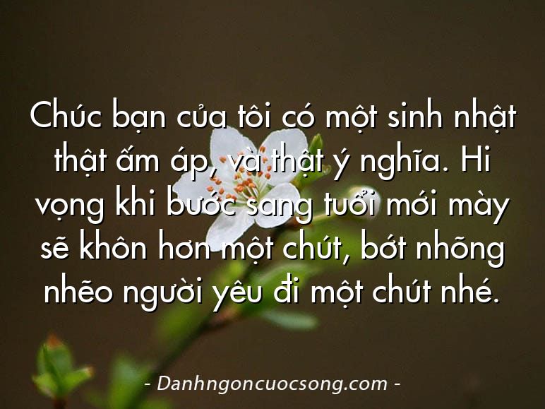 Chúc bạn của tôi có một sinh nhật thật ấm áp, và thật ý nghĩa. Hi vọng khi bước sang tuổi mới mày sẽ khôn hơn một chút, bớt nhõng nhẽo người yêu đi một chút nhé.