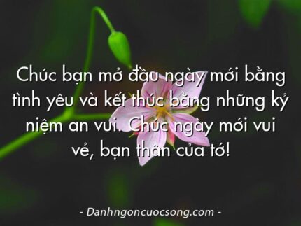 Chúc bạn mở đầu ngày mới bằng tình yêu và kết thúc bằng những kỷ niệm an vui. Chúc ngày mới vui vẻ, bạn thân của tớ!