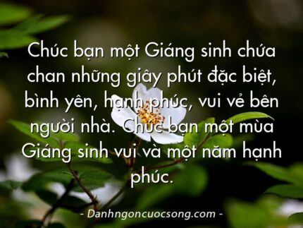 Chúc bạn một Giáng sinh chứa chan những giây phút đặc biệt, bình yên, hạnh phúc, vui vẻ bên người nhà. Chúc bạn một mùa Giáng sinh vui và một năm hạnh phúc.