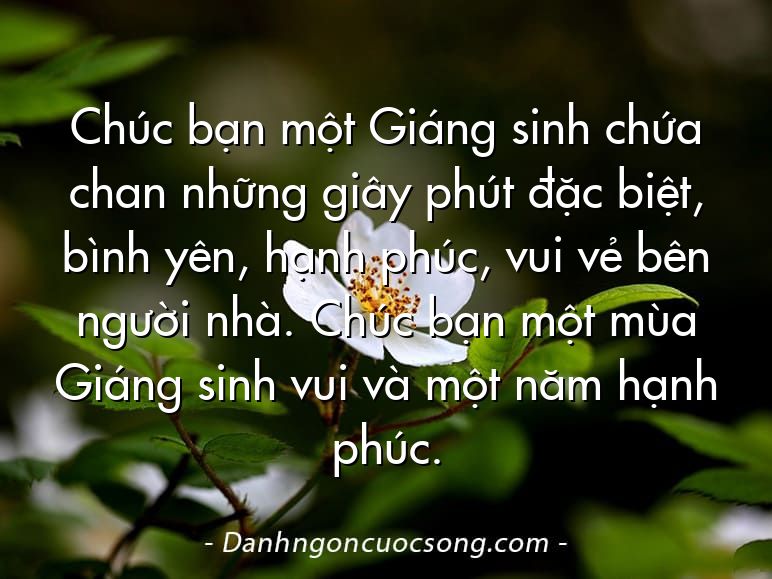 Chúc bạn một Giáng sinh chứa chan những giây phút đặc biệt, bình yên, hạnh phúc, vui vẻ bên người nhà. Chúc bạn một mùa Giáng sinh vui và một năm hạnh phúc.