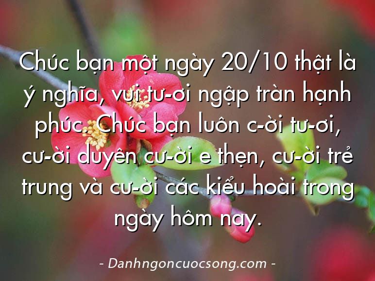 Chúc bạn một ngày 20/10 thật là ý nghĩa, vui tư­ơi ngập tràn hạnh phúc. Chúc bạn luôn c­ời tư­ơi, cư­ời duyên cư­ời e thẹn, cư­ời trẻ trung và cư­ời các kiểu hoài trong ngày hôm nay.