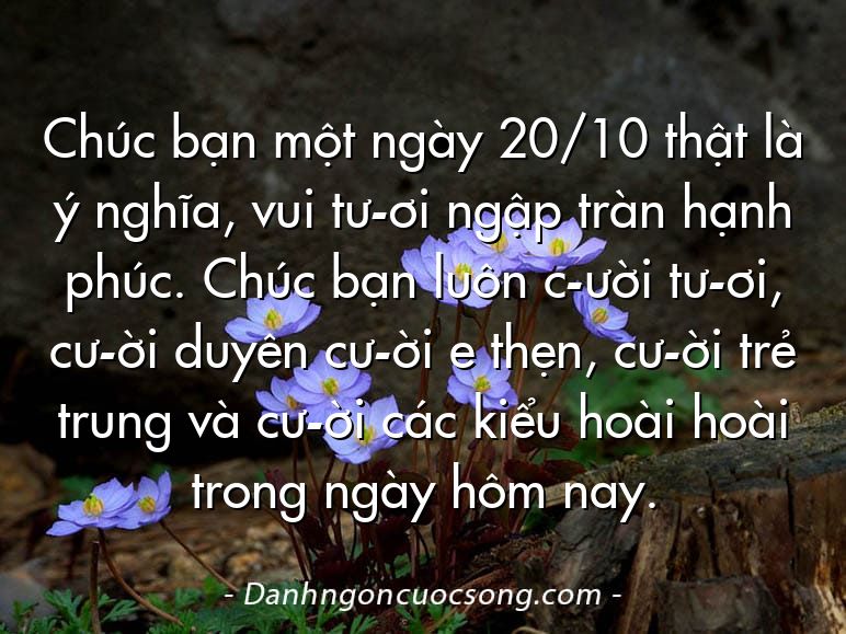 Chúc bạn một ngày 20/10 thật là ý nghĩa, vui tư­ơi ngập tràn hạnh phúc. Chúc bạn luôn c­ười tư­ơi, cư­ời duyên cư­ời e thẹn, cư­ời trẻ trung và cư­ời các kiểu hoài hoài trong ngày hôm nay.