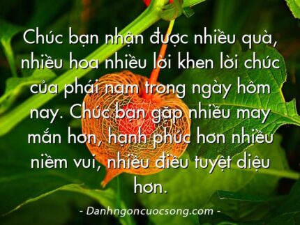 Chúc bạn nhận được nhiều quà, nhiều hoa nhiều lời khen lời chúc của phái nam trong ngày hôm nay. Chúc bạn gặp nhiều may mắn hơn, hạnh phúc hơn nhiều niềm vui, nhiều điều tuyệt diệu hơn.