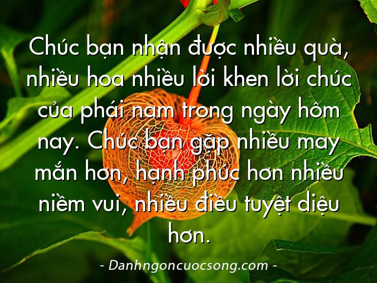 Chúc bạn nhận được nhiều quà, nhiều hoa nhiều lời khen lời chúc của phái nam trong ngày hôm nay. Chúc bạn gặp nhiều may mắn hơn, hạnh phúc hơn nhiều niềm vui, nhiều điều tuyệt diệu hơn.