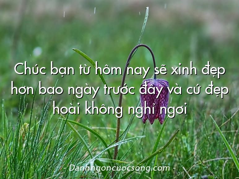 Chúc bạn từ hôm nay sẽ xinh đẹp hơn bao ngày trước đây và cứ đẹp hoài không nghỉ ngơi