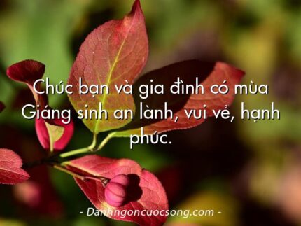 Chúc bạn và gia đình có mùa Giáng sinh an lành, vui vẻ, hạnh phúc.