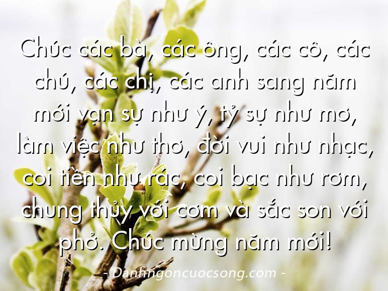 Chúc các bà, các ông, các cô, các chú, các chị, các anh sang năm mới vạn sự như ý, tỷ sự như mơ, làm việc như thơ, đời vui như nhạc, coi tiền như rác, coi bạc như rơm, chung thủy với cơm và sắc son với phở. Chúc mừng năm mới!