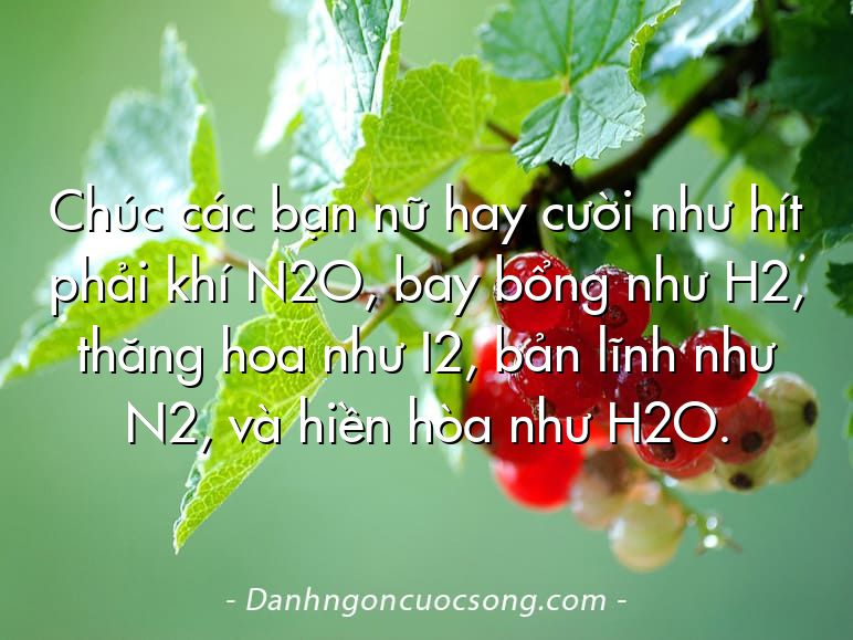 Chúc các bạn nữ hay cười như hít phải khí N2O, bay bổng như H2, thăng hoa như I2, bản lĩnh như N2, và hiền hòa như H2O.