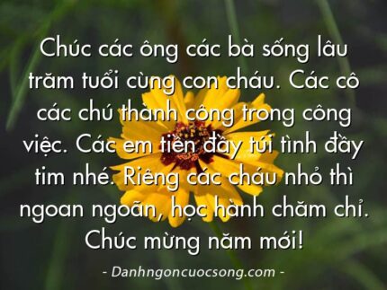 Chúc các ông các bà sống lâu trăm tuổi cùng con cháu. Các cô các chú thành công trong công việc. Các em tiền đầy túi tình đầy tim nhé. Riêng các cháu nhỏ thì ngoan ngoãn, học hành chăm chỉ. Chúc mừng năm mới!