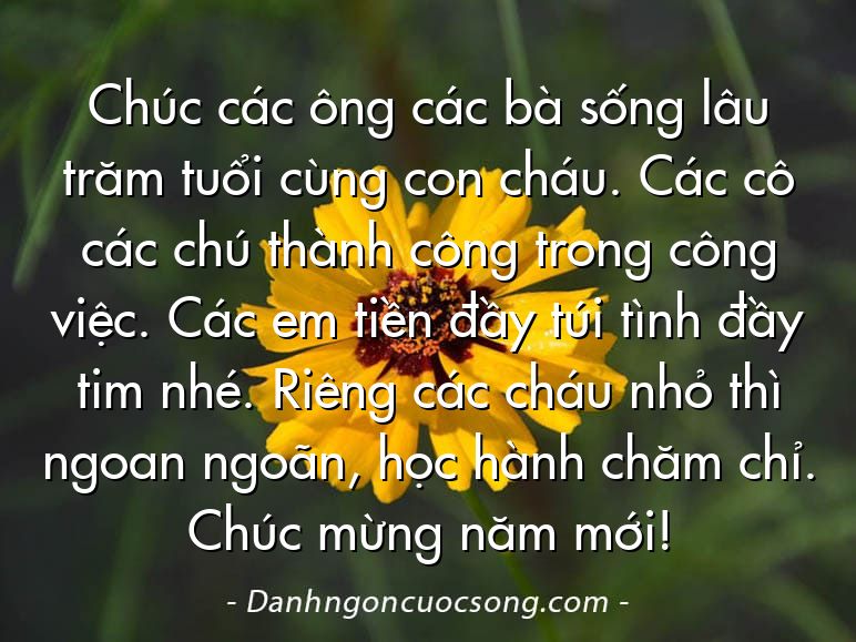 Chúc các ông các bà sống lâu trăm tuổi cùng con cháu. Các cô các chú thành công trong công việc. Các em tiền đầy túi tình đầy tim nhé. Riêng các cháu nhỏ thì ngoan ngoãn, học hành chăm chỉ. Chúc mừng năm mới!
