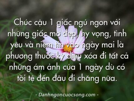 Chúc cậu 1 giấc ngủ ngon với những giấc mơ đẹp, hy vọng, tình yêu và niềm tin vào ngày mai là phương thuốc kỳ diệu xóa đi tất cả những ám ảnh của 1 ngày dù có tồi tệ đến đâu đi chăng nữa.